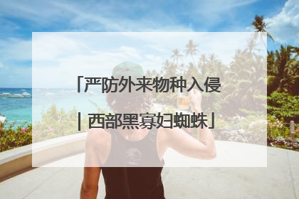 严防外来物种入侵｜西部黑寡妇蜘蛛